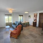 Casa Cosculluela *