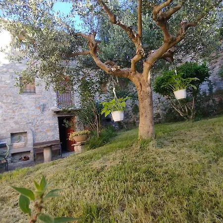 Casa Cosculluela Daire Aínsa